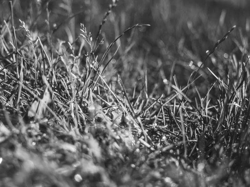 Phòng marketing thuê ngoài