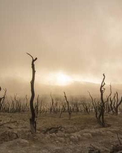 Marketing Service Preview 1