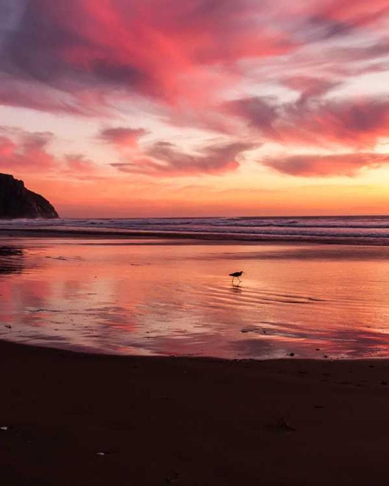 Marketing Challenges